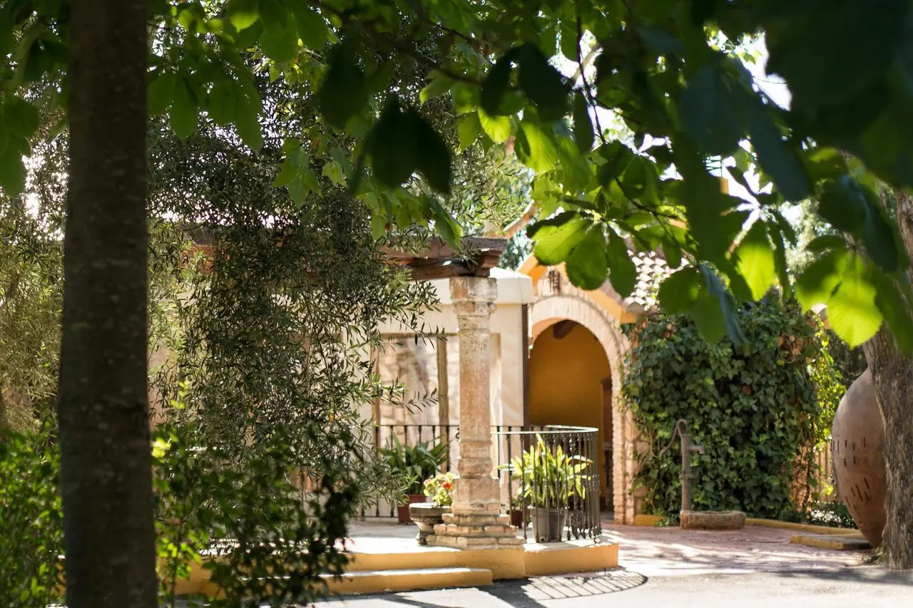 Arco de piedra entre la vegetación
