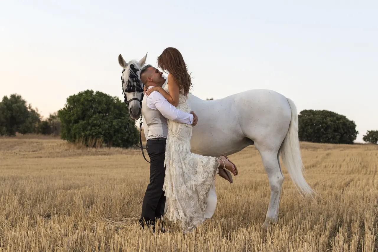 Pareja con un caballo blanco en un campo de cereal