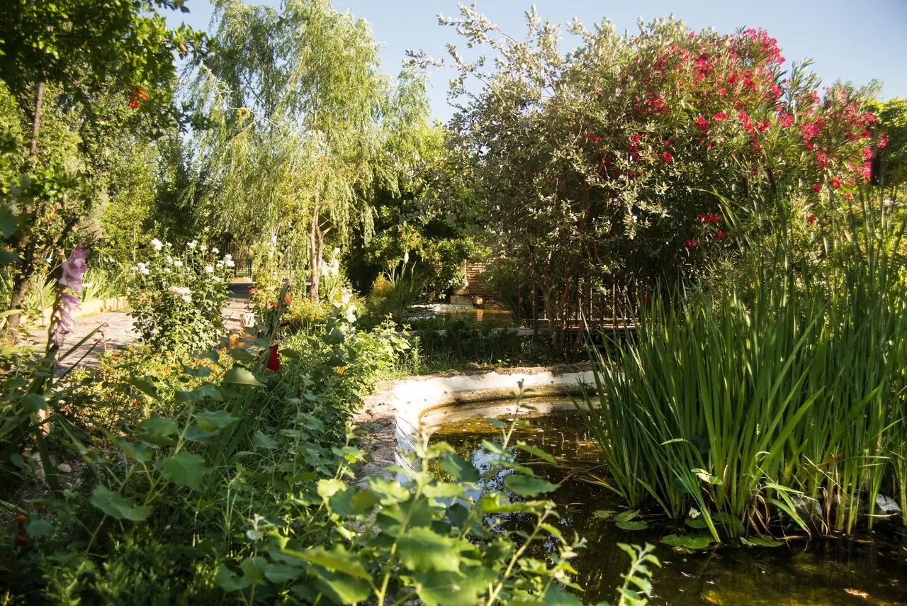Jardín con adelfas en flor y plantas acuáticas