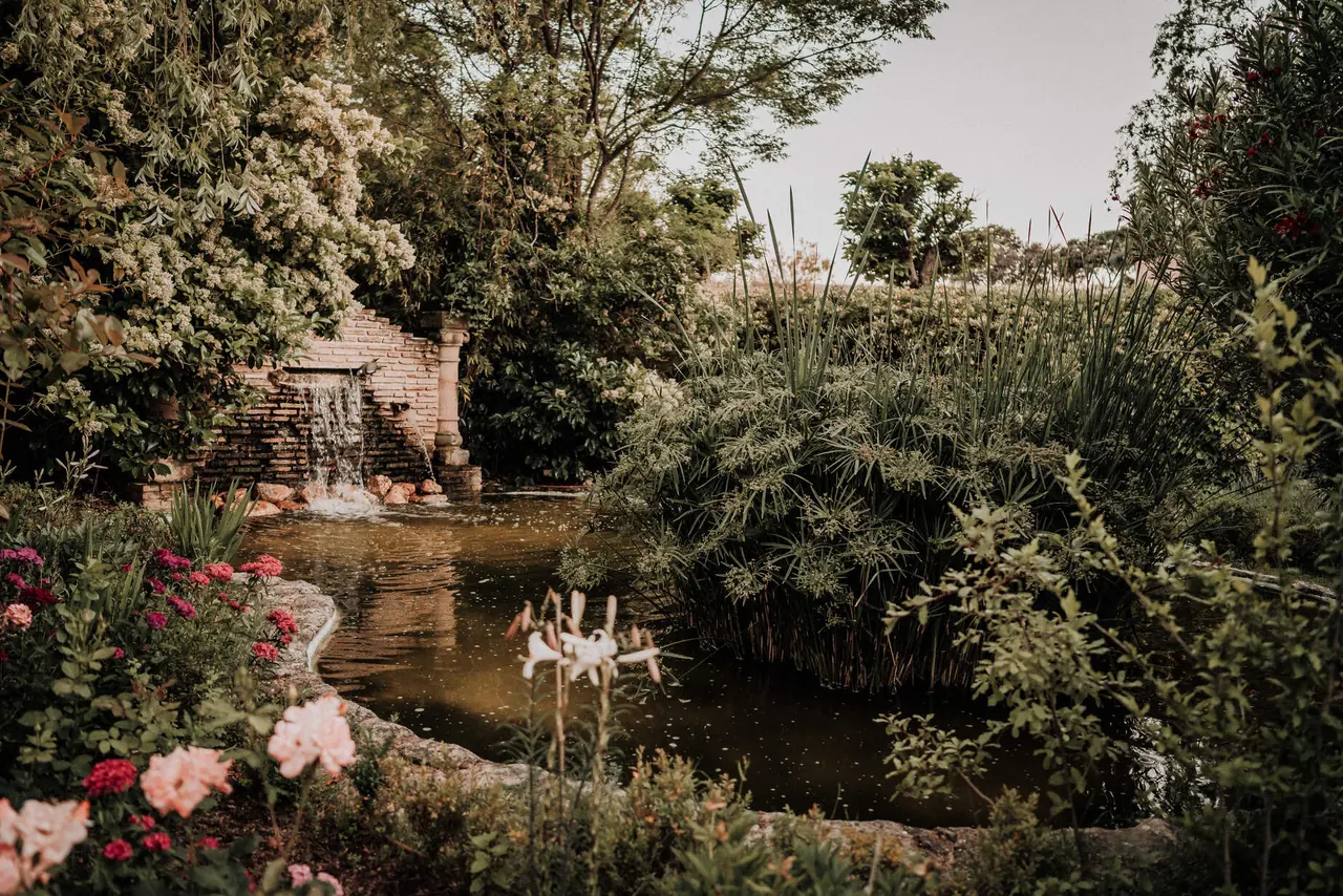 Orilla del lago con flores y vegetación